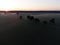 Mystical Sunrise Drone View of Lush Green Landscape