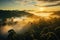 Mystical view from top on forest under haze at early morning. Eerie mist among layers from tree silhouettes in taiga under predawn