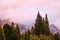 Mystical view of the tops of mountains and trees. Black and white photo. Selective focus