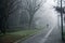 Mystical Walk path with fog silhouette of trees and man, misty walkside, foggy place