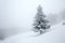 Mystical winter forest covered with snow on cloudy day