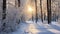 Mystical Winter Journey: Snowy Forest Path