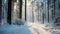 Mystical Winter Journey: Snowy Forest Path