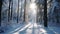 Mystical Winter Journey: Snowy Forest Path