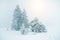 Mystical winter landscape with tree during snowfall New Year, t