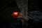 Mystical Witch Woman With Candles In Her Hands Performs An Occult Mystical Ritual