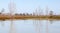 Mystrious dead trees Menindee Lakes Australia