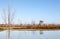 Mystrious dead trees Menindee Lakes Australia