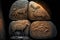 mythical animals petroglyphs on rock stone