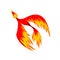 Mythical phoenix flaming bird flying vector Illustration on a white background