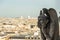 Mythical stone creature gargoyle on Notre Dame de Paris