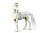 Mythical white Unicorn posing on a white background.