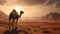 Mythological References: Camel Grazing In The Desert At Sunset