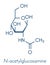 N-Acetylglucosamine NAG food supplement molecule. Skeletal formula.