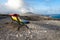 N empty bench, painted in a rainbow of colors and a view of Playa de Sotavento de Jandia.