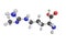 N-Methylarginine, an inhibitor of nitric oxide synthase. It is u