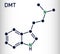 N,N-Dimethyltryptamine, dimethyltryptamine, DMT molecule. It is tryptamine alkaloid, indoleamine derivative, serotonergic