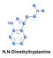 N,N-Dimethyltryptamine is a psychedelic