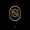 N and S gold luxury monogram. Elegant rounded icon. Lettering for premium brand.