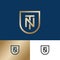 N and T monogram. N,T letters as a gold shield on different backgrounds.