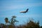 N421FX, an Embraer Legacy 450 twin-jet E545, operated by Flexjet,  descends for a landing at Van Nuys Airport runway 34 Left o