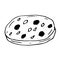 Naan indian bread vector illustration, hand drawing doodle