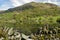 Nab Scar reflected in Rydalwater, Lake District