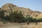 Nabataean Rock city of Petra, Bab as Siq, Jordan