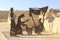 Nabatheans Sculpture, the Nabatean City