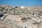 Nabi Musa site in the desert