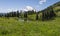 Naches Peak Loop Trail in Mt Rainier NP