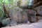 Naga cave, Amazing of Naga scales rock stone mountain in Phu Langka National Park, Bueng Kan of Thailand, Sun Cracks