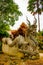 Naga statue in front of the church at Phra That Pha Ngao temple