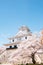 Nagahama castle with cherry blossoms in Shiga, Japan