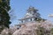 Nagahama castle with sakura blooming season