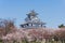 Nagahama castle with sakura blooming season