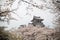 Nagahama Castle with Sakura (Cherry Blossom) at Ho Park - Nagahama, Japan