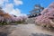 Nagahama Castle in Shiga Prefecture, Japan during full bloom cherry blossom season