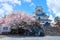 Nagahama Castle in Shiga Prefecture, Japan during full bloom cherry blossom season