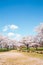 Nagahama Ho park and Lake Biwa with cherry blossoms in Shiga, Japan