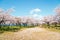 Nagahama Ho park and Lake Biwa with cherry blossoms in Shiga, Japan