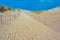 Nagliai dune at Curonian spit in Lithuania