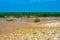 Nagliai dune at Curonian spit in Lithuania