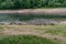 The Nagold Dam Nagoldtalsperre, also Erzgrube in the Black Forest in Germany