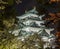 Nagoya Castle 6