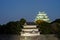 Nagoya Castle at Night - Japan