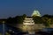 Nagoya Castle at Night - Japan