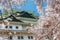 Nagoya Castle surrounged by cherry blossom