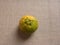 Nagpur orange fruit