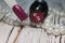 Nail polish. Gel polish. Nail polish in different colors. Tips